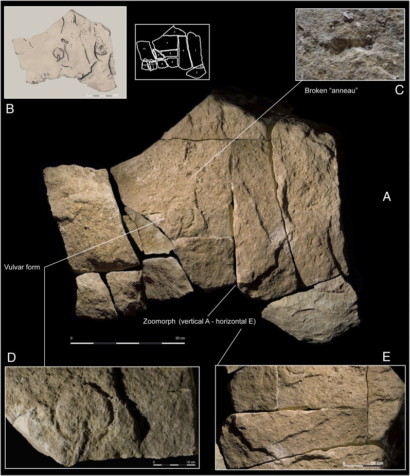 Fig. 4.