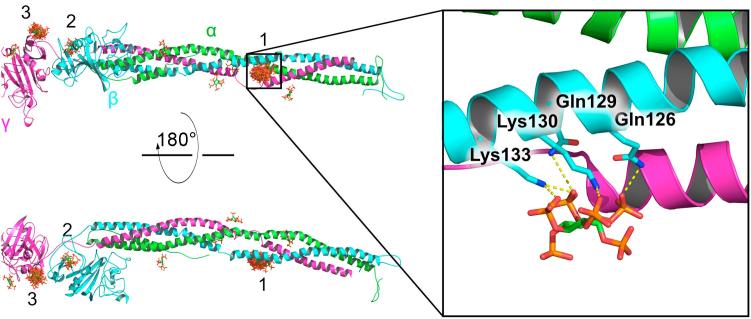 Fig. 4