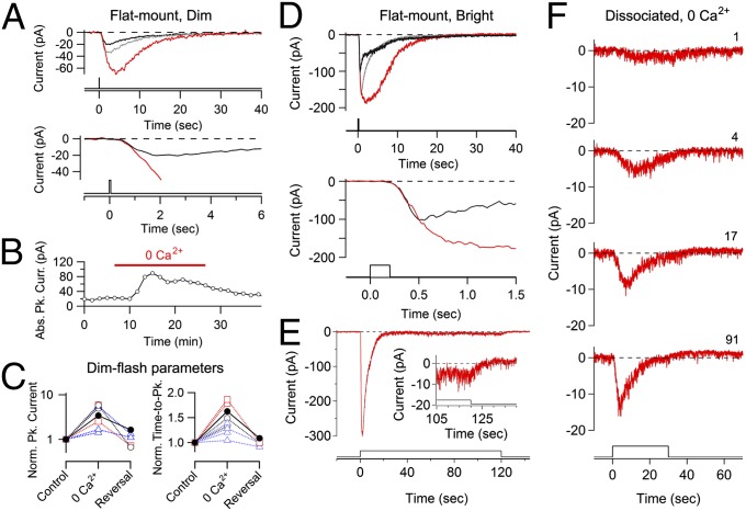 Fig. 4.