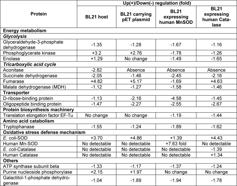 Table 2