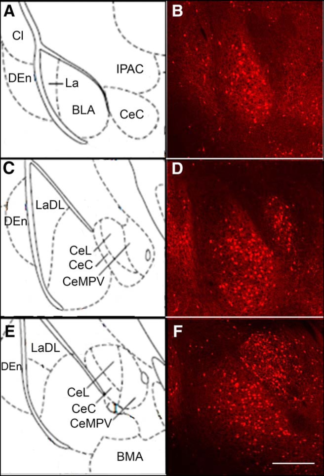 Figure 12.