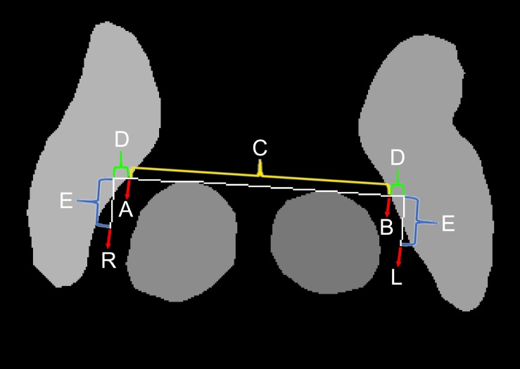 FIGURE 3