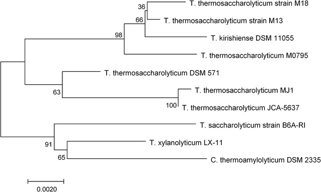 Fig. 1