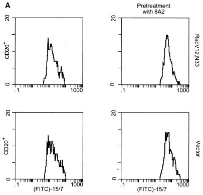 FIG. 6