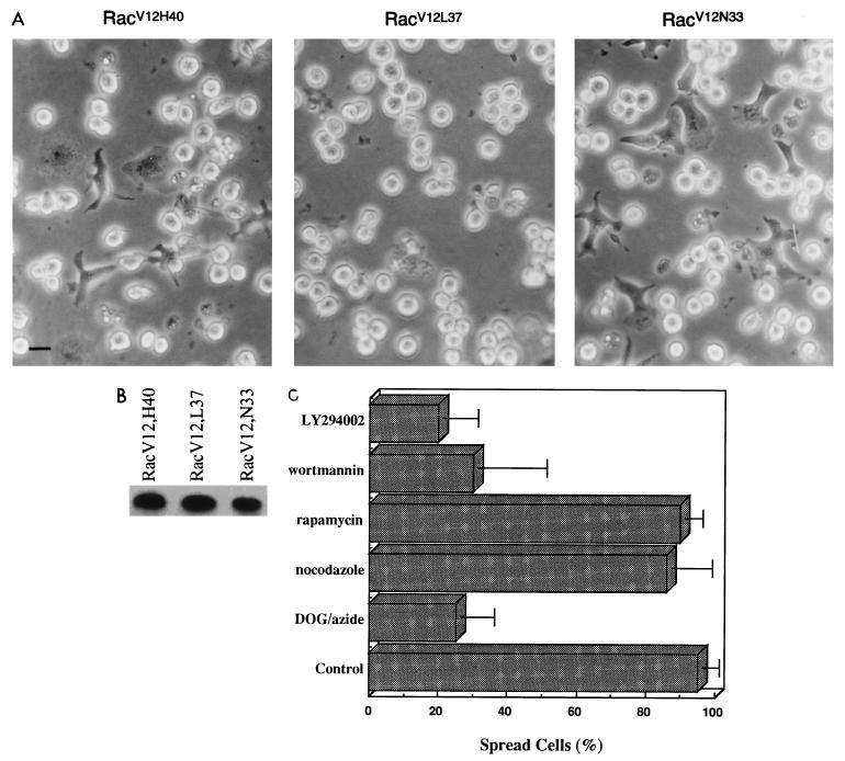 FIG. 7