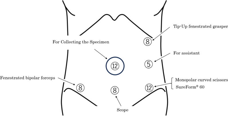 Fig. 1