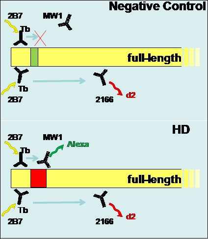 graphic file with name fig-1-revised-12212.jpg