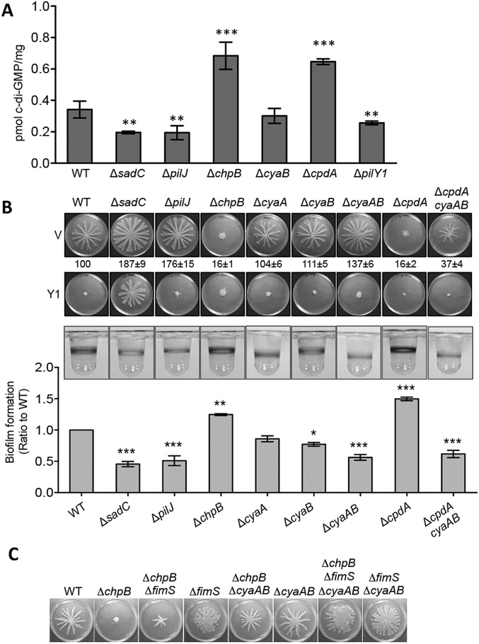 FIG 4 