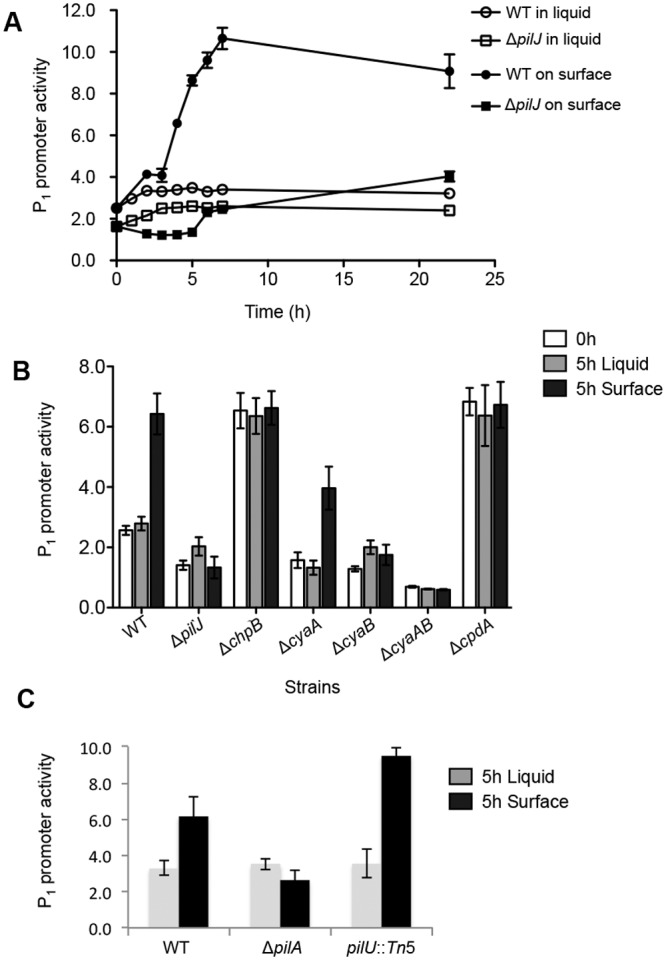 FIG 3 