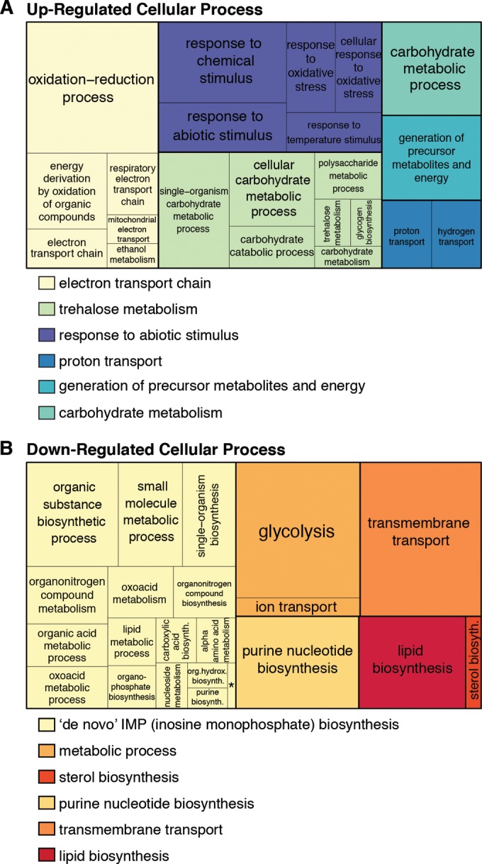 FIG 6