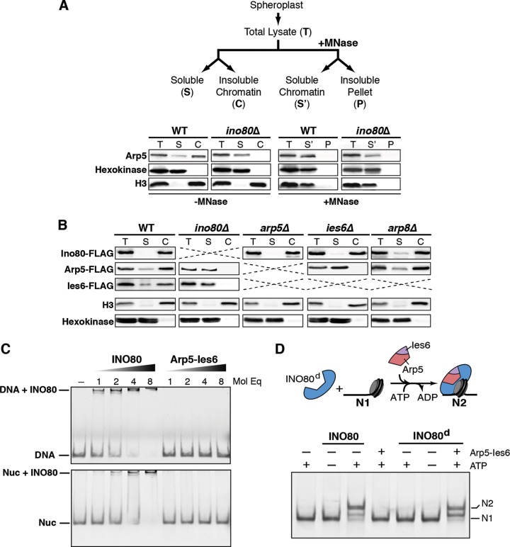 FIG 3