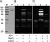 FIG 7