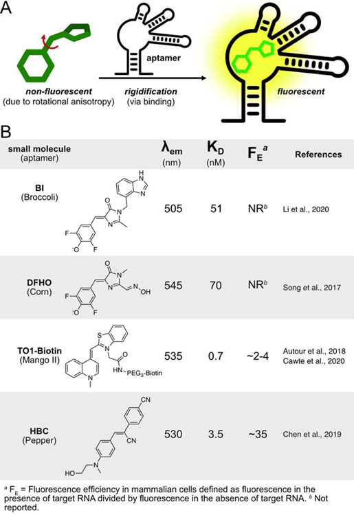 Figure 3: