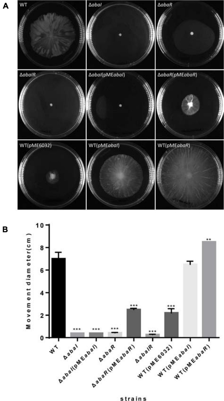 FIGURE 3