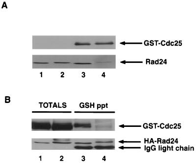 FIG. 6