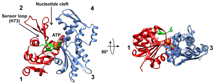 Figure 5