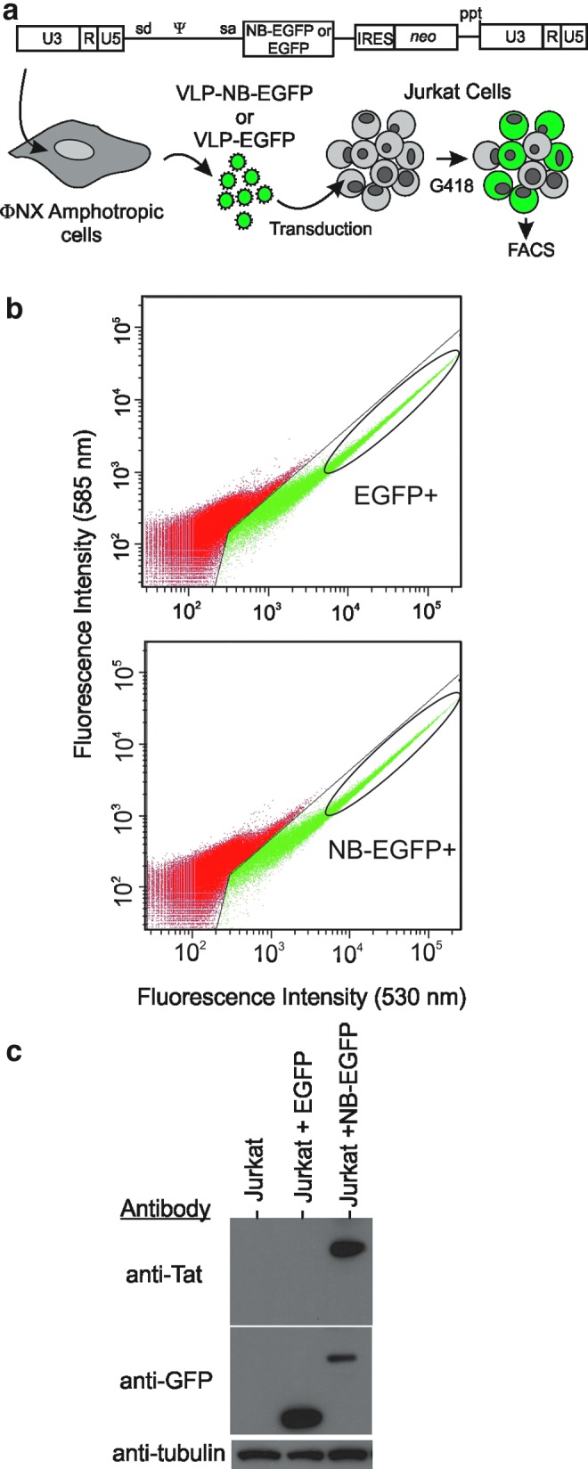 FIG. 6.