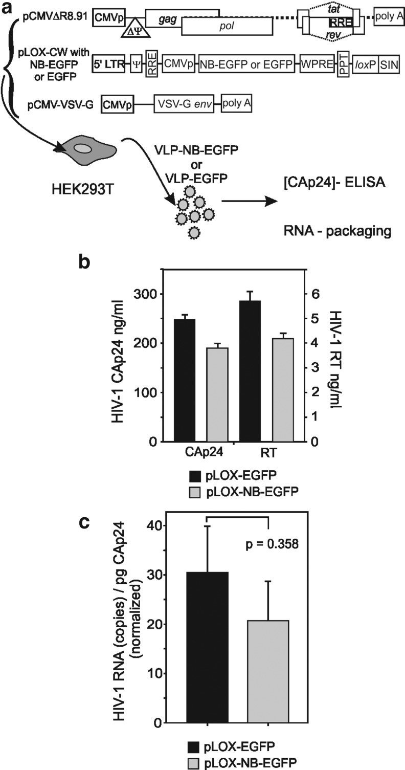 FIG. 1.