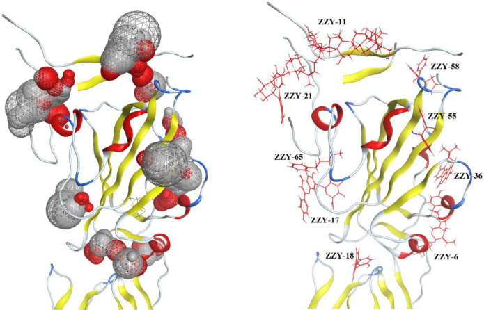 Fig 2