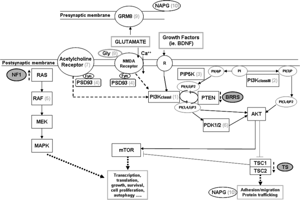 Figure 2.