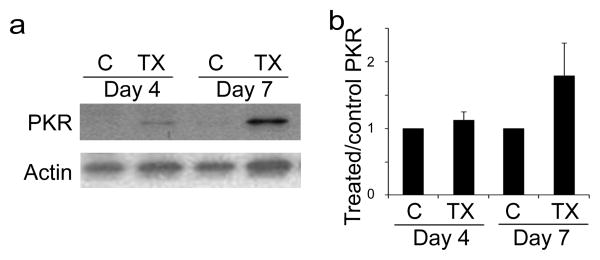 Fig. 8