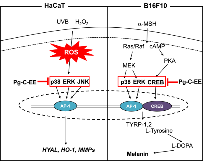 Fig. 6