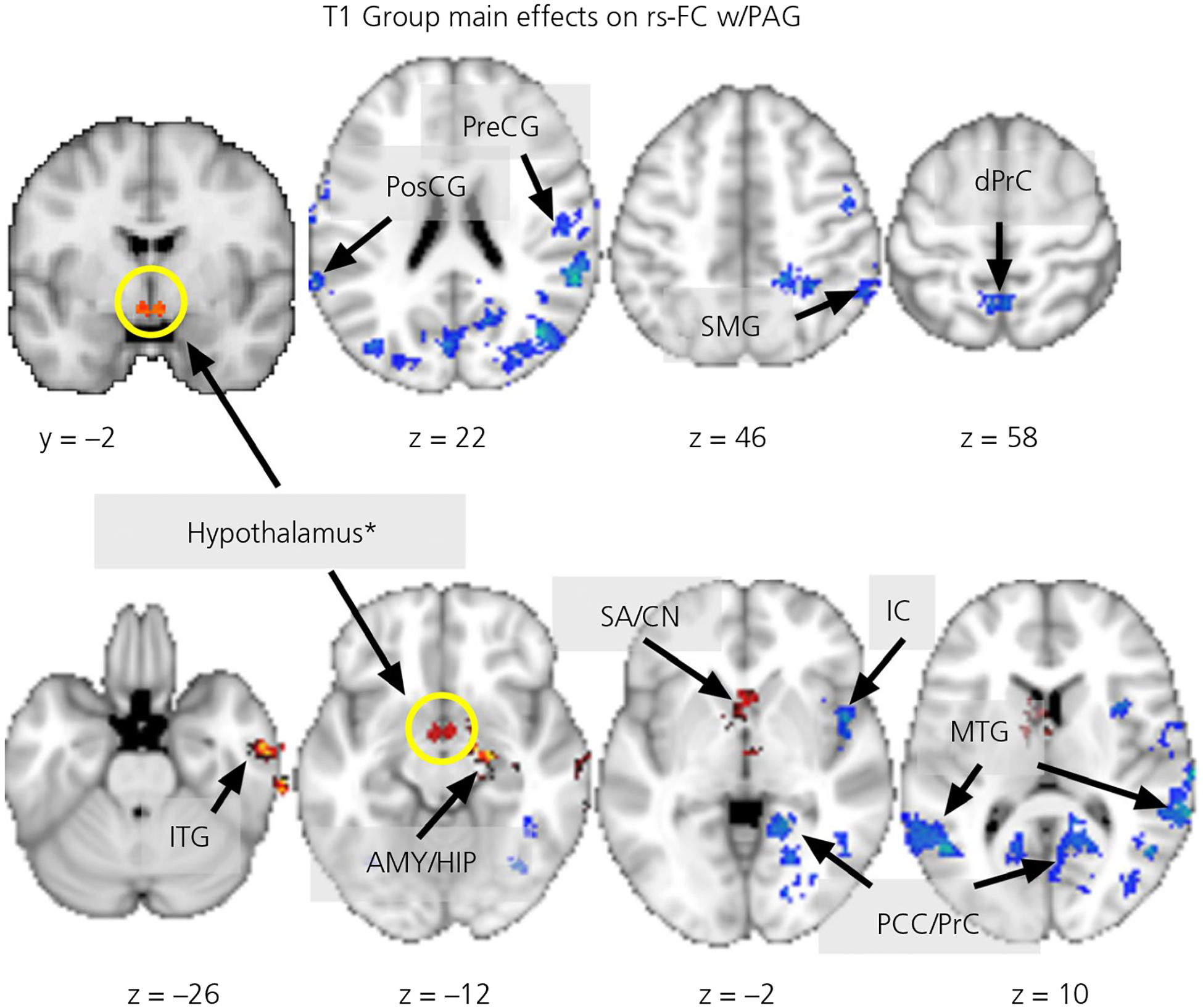 FIGURE 3