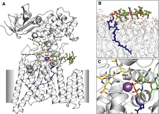 Figure 10