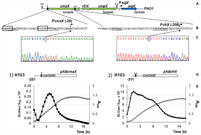 FIGURE 2