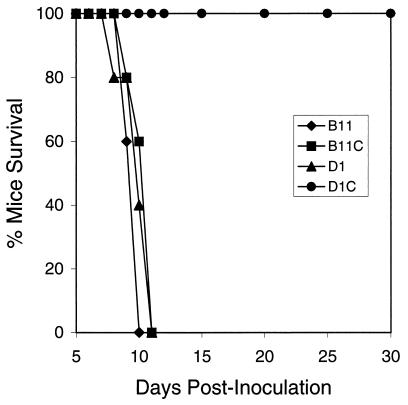 FIG. 4