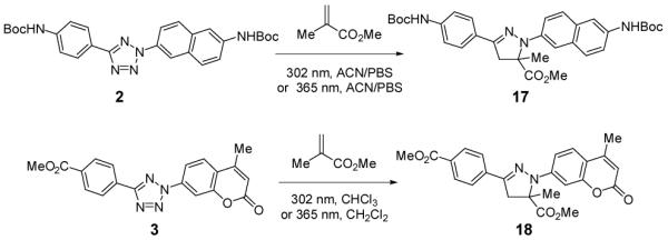 Scheme 4