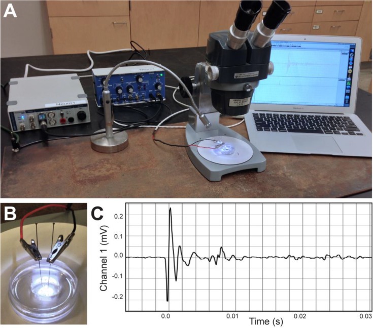 Figure 3.