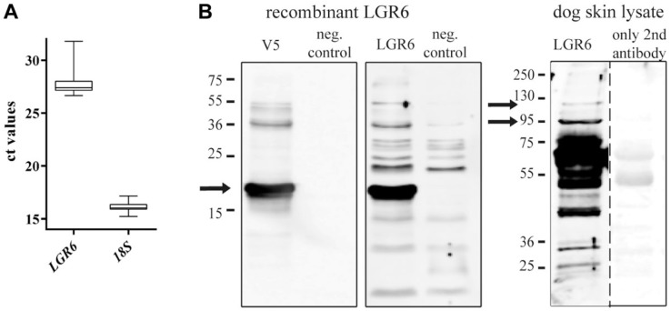 Figure 6.