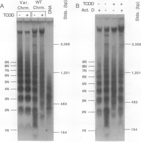 graphic file with name pnas01097-0526-a.jpg