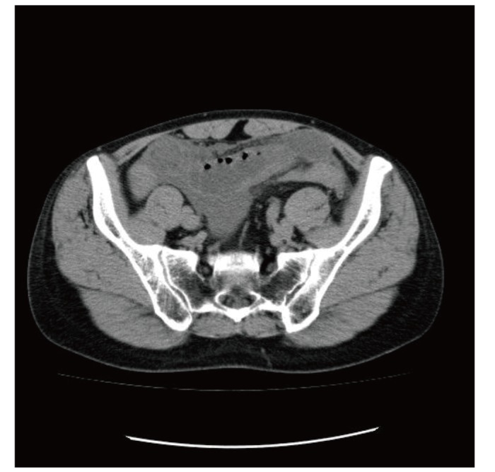 Fig. 3.