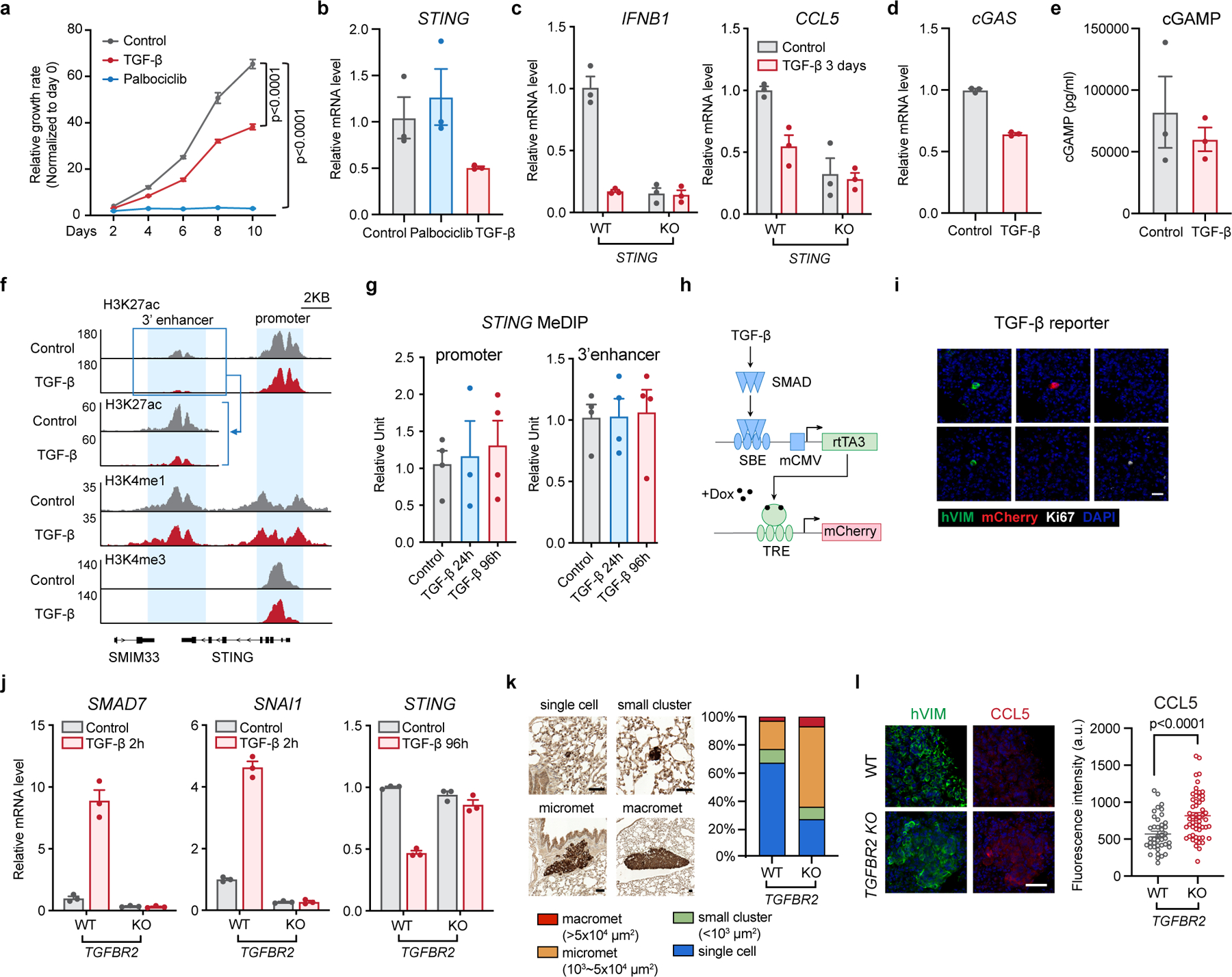 STING Inhibits The Reactivation Of Dormant Metastasis In Lung ...