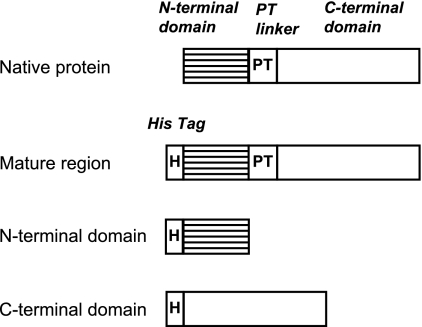 FIG. 5.