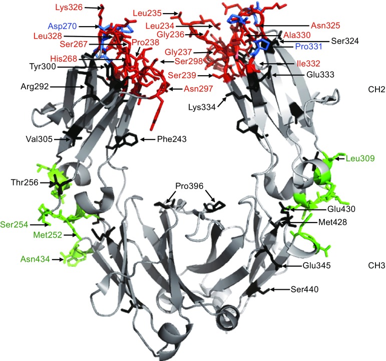 Figure 1