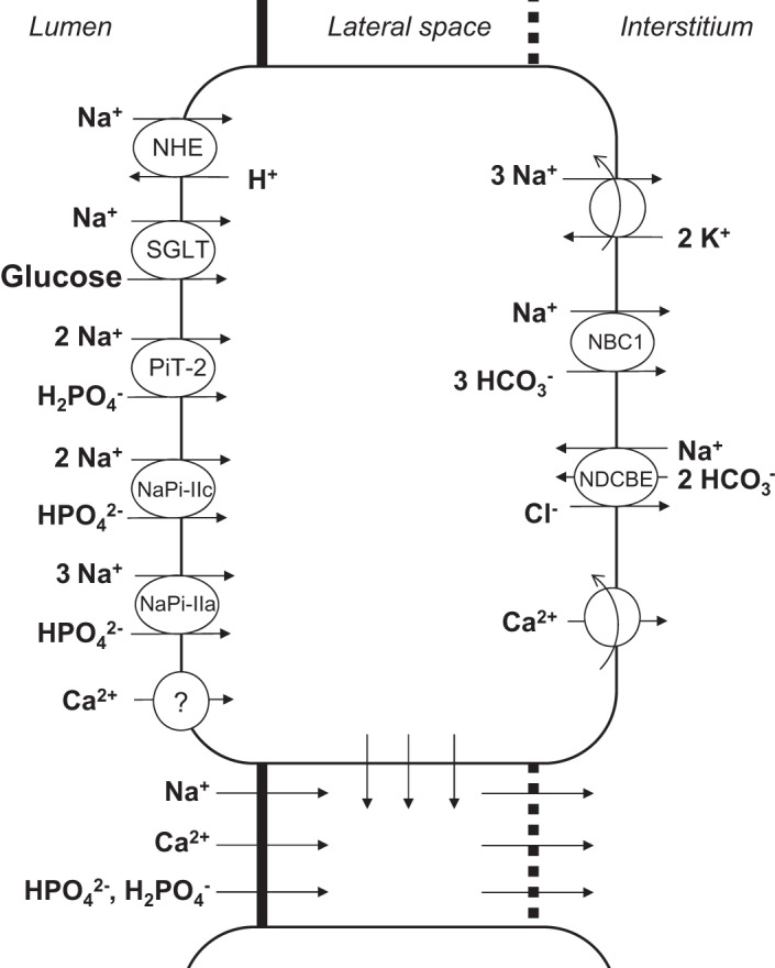 Fig. 1.