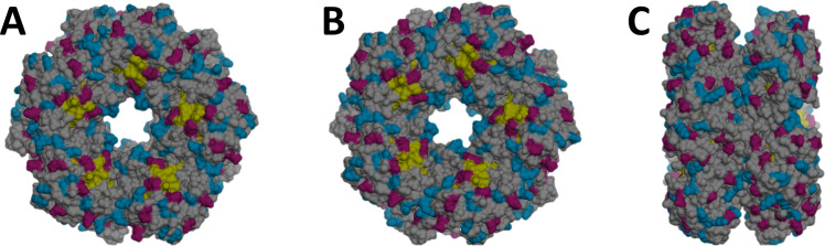 Fig 2