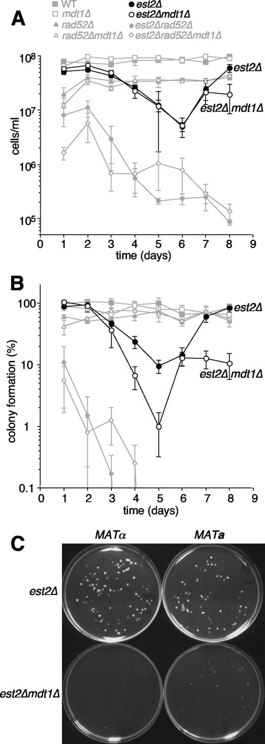 FIG. 7.