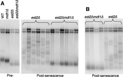 FIG. 8.