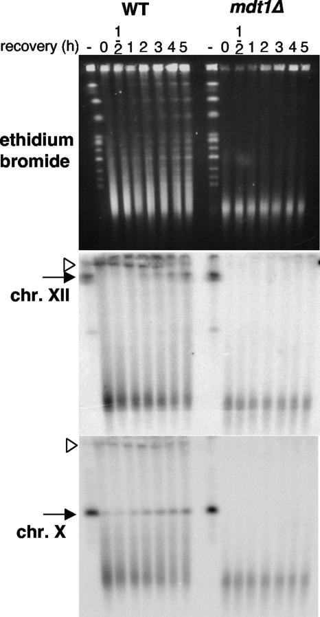 FIG. 4.