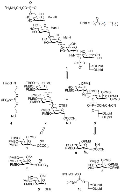 Scheme 1