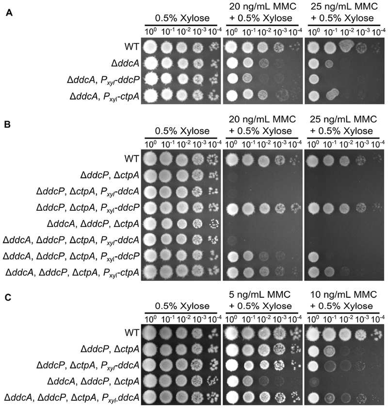 Figure 3.