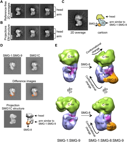 Figure 4.