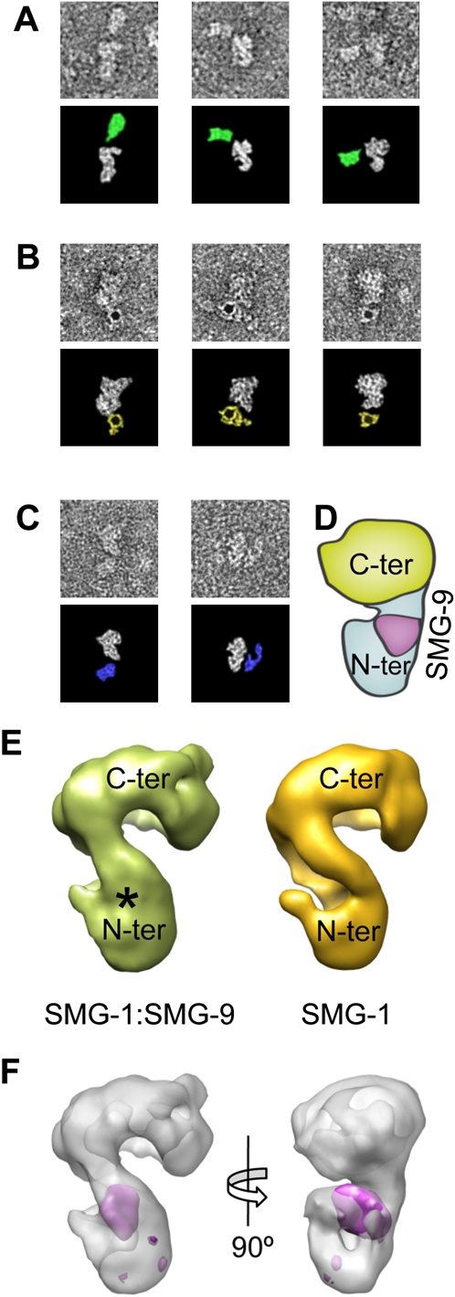 Figure 3.