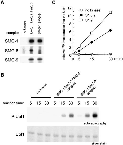 Figure 7.