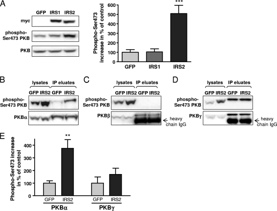 FIG. 8.