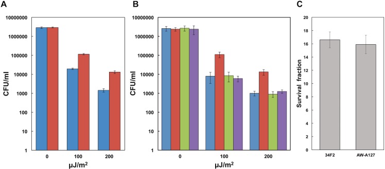 Fig 6